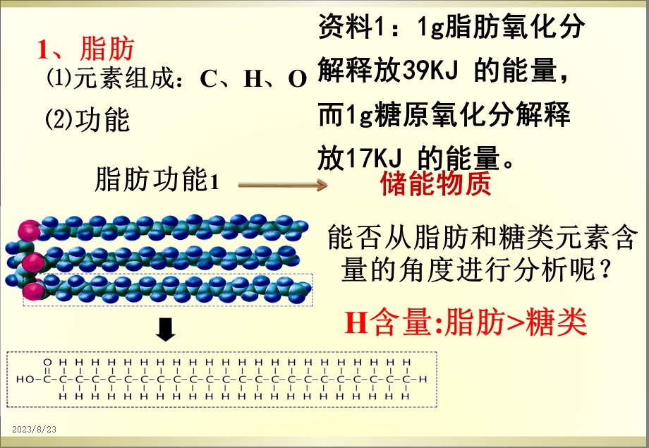 脂质的种类及功能.ppt_第3页