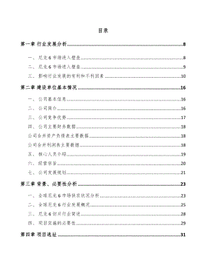 唐山聚酰胺6切片项目可行性研究报告.docx