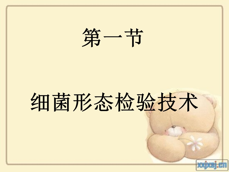 细菌检验技术全解.ppt_第2页