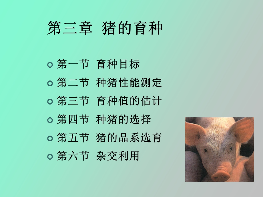 育种值的估计.ppt_第2页