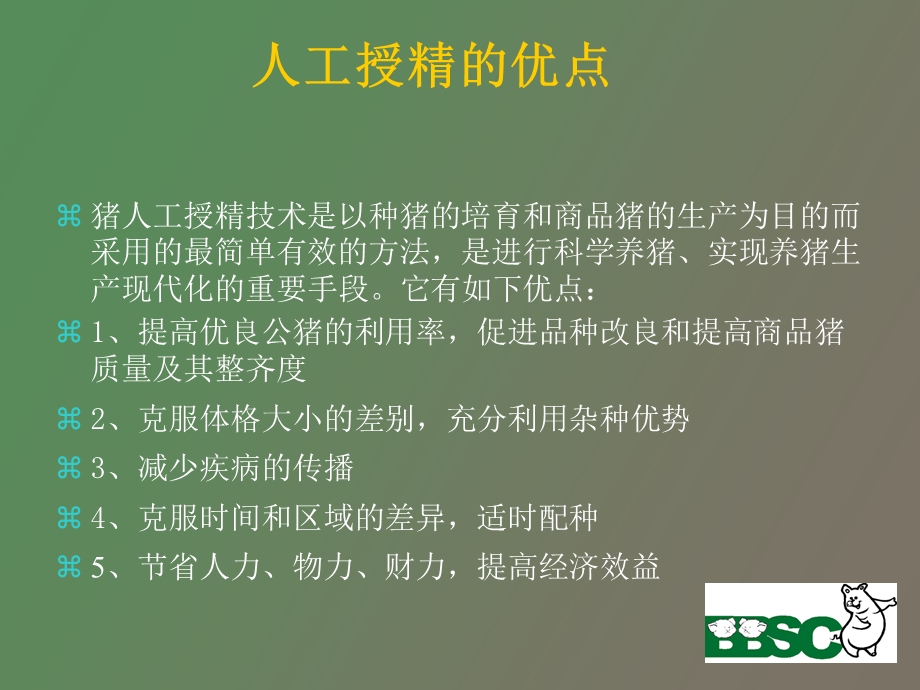 猪的人工受精技术.ppt_第2页