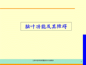 脑叶功能及其障碍.ppt