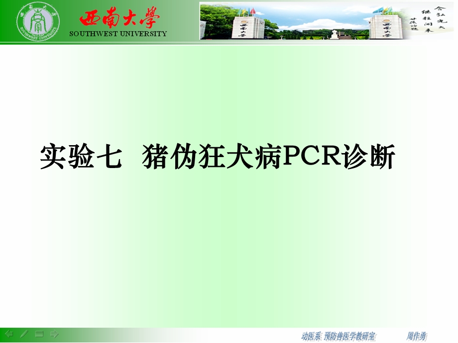 猪伪狂犬病的PCR诊断.ppt_第1页