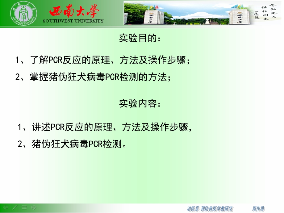 猪伪狂犬病的PCR诊断.ppt_第2页