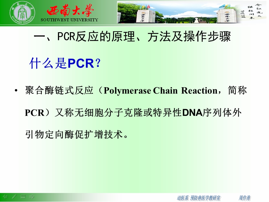 猪伪狂犬病的PCR诊断.ppt_第3页