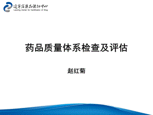 药品质量体系检查及评估基础理论版海南.ppt