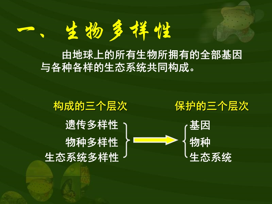 生物多样性及其保护.ppt_第2页