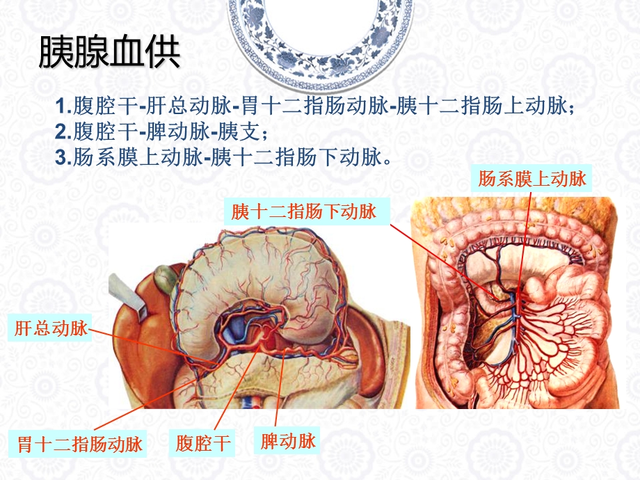 胰腺肿瘤性病变.ppt_第3页