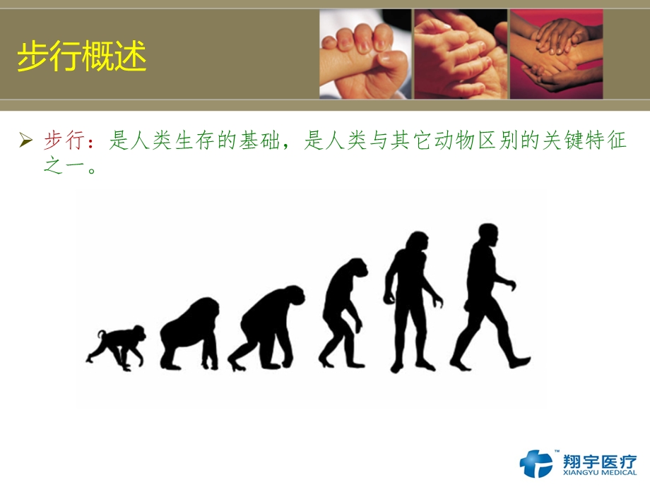 脑卒中偏瘫步态分析与训练.ppt_第2页