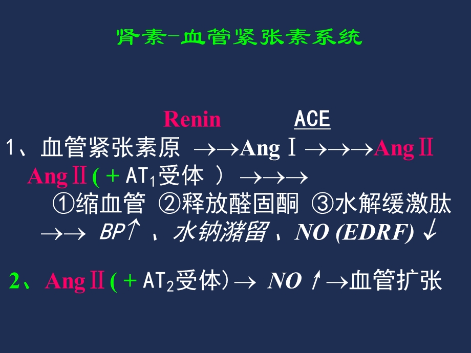 药理学第2版23肾素血管紧张素.ppt_第3页