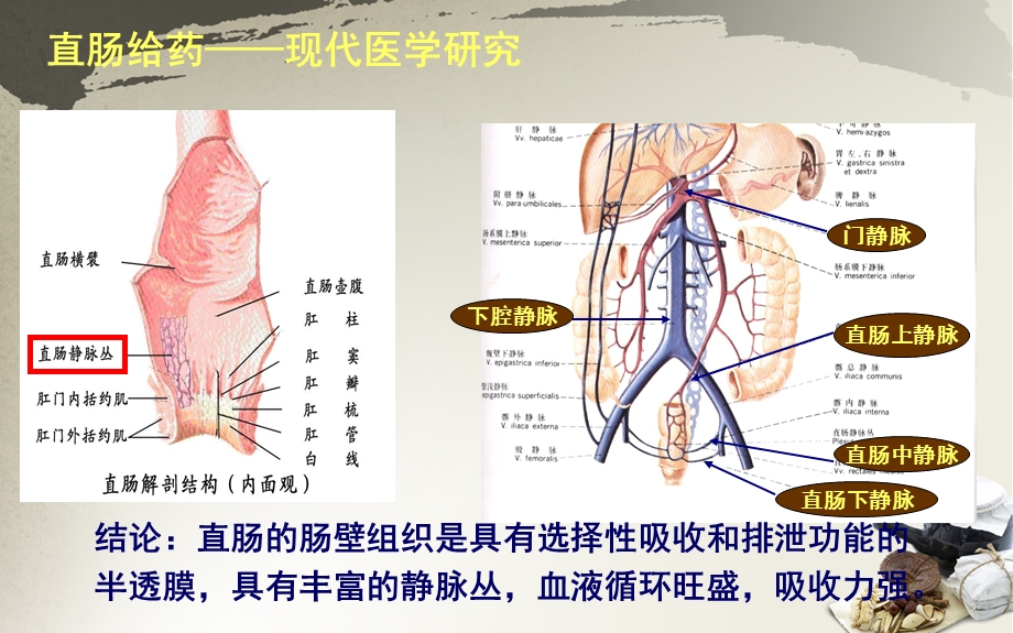 直肠给药的原理.ppt_第3页