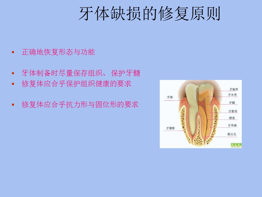 牙体缺损的修复原则.ppt_第3页