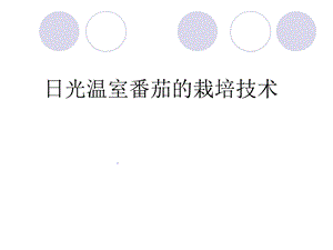 温室番茄的栽培技术.ppt