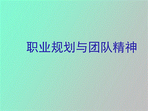 职业规划与团队精神.ppt