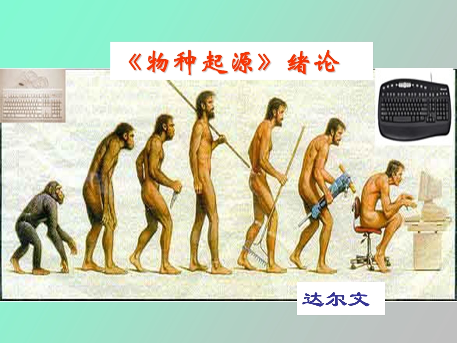 物种起源绪论张广峰.ppt_第3页