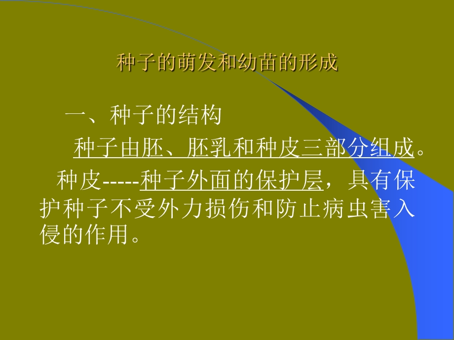 种子及植物的营养器官.ppt_第3页