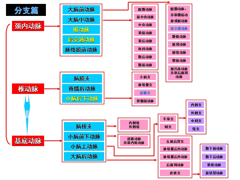 脑动脉分段、分支与图解.ppt_第3页