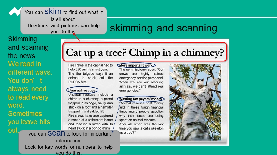 英语阅读技巧-skimming.ppt_第3页