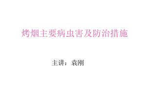 烤烟主要病虫害及防治措施.ppt