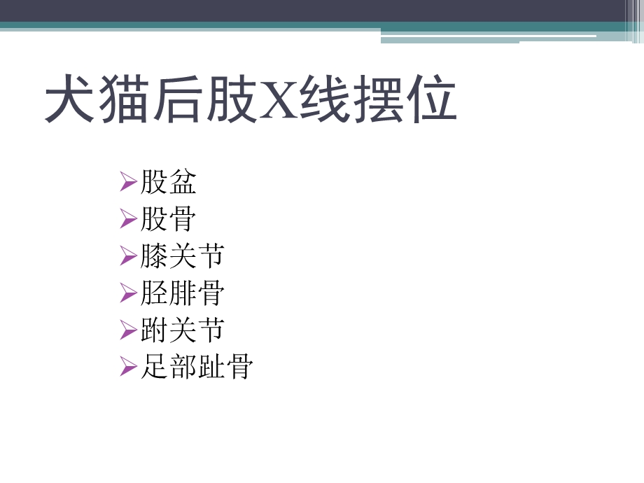 犬猫X线摆位-后肢.ppt_第2页