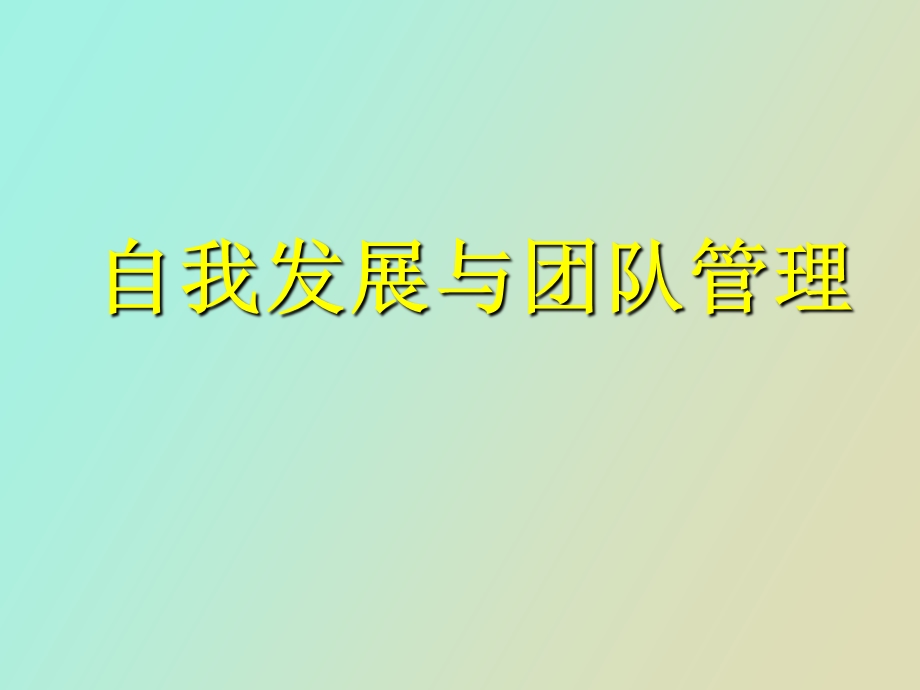 自我发展和团队建设.ppt_第1页