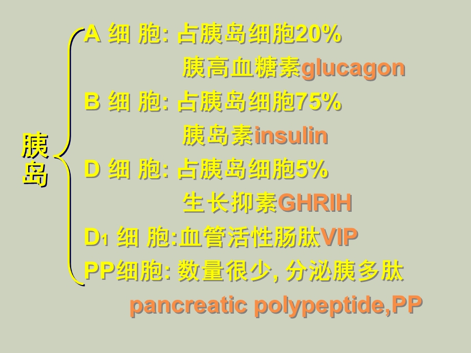 胰岛的内分泌.ppt_第2页