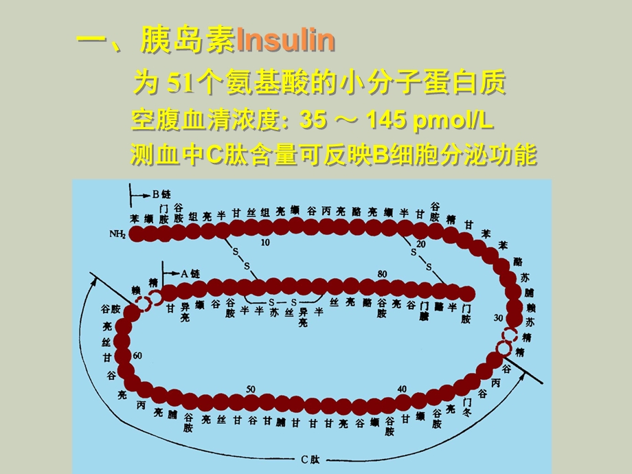 胰岛的内分泌.ppt_第3页