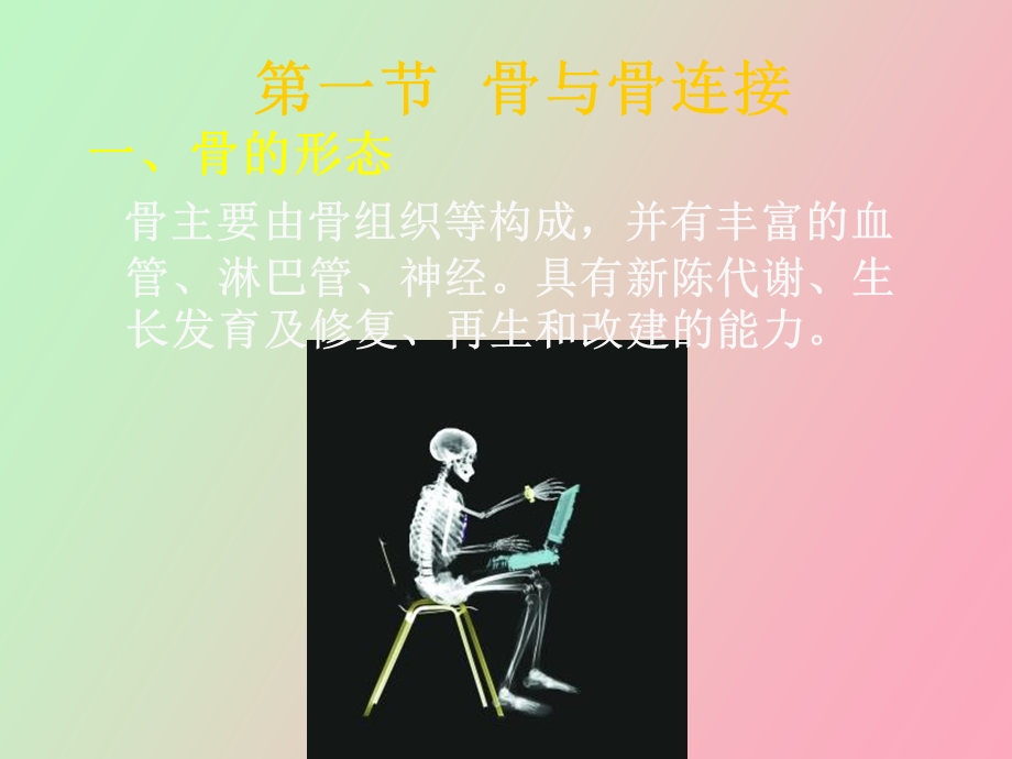 现代基础医学概论第二章运动系统.ppt_第2页