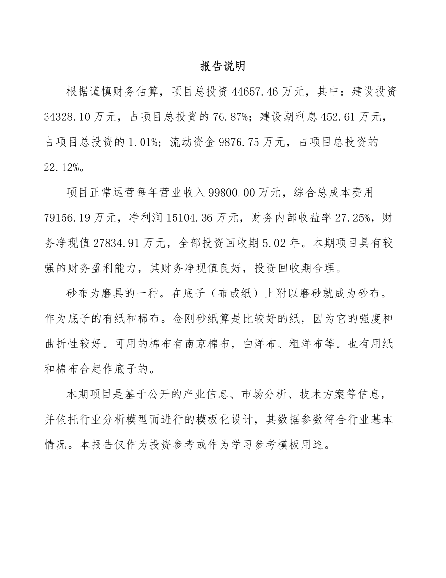 唐山砂布项目可行性研究报告.docx_第2页