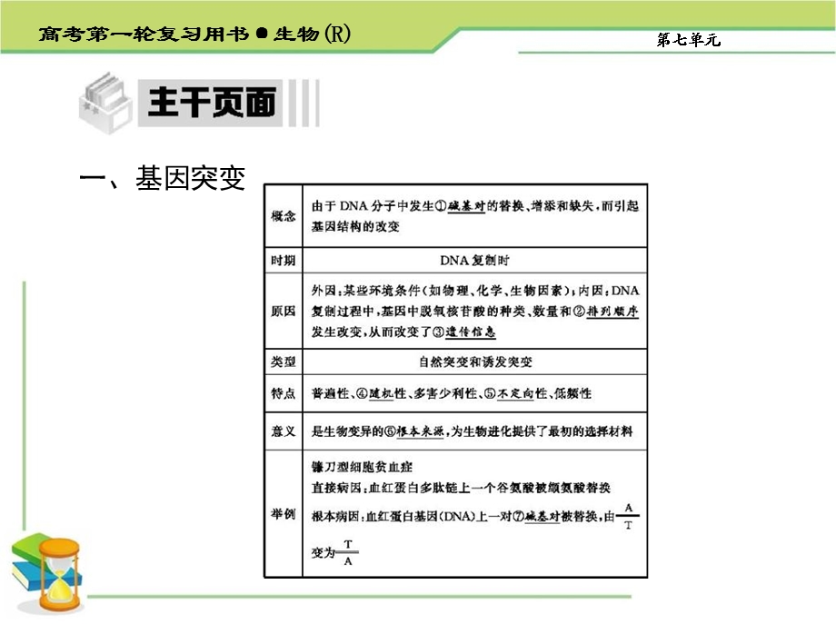 生物的变异育种与进化.ppt_第3页