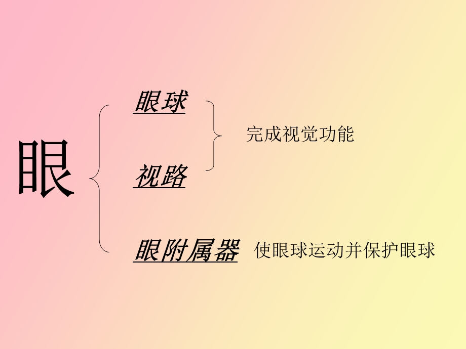 眼的解剖与生理.ppt_第2页