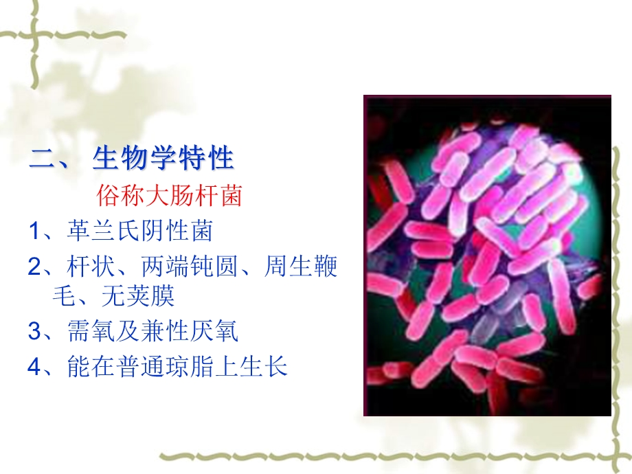 致泻大肠埃希式菌的检验.ppt_第3页