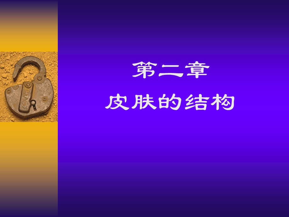 皮肤的解剖和组织学.ppt_第1页