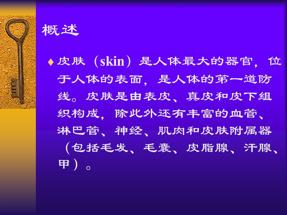 皮肤的解剖和组织学.ppt_第2页