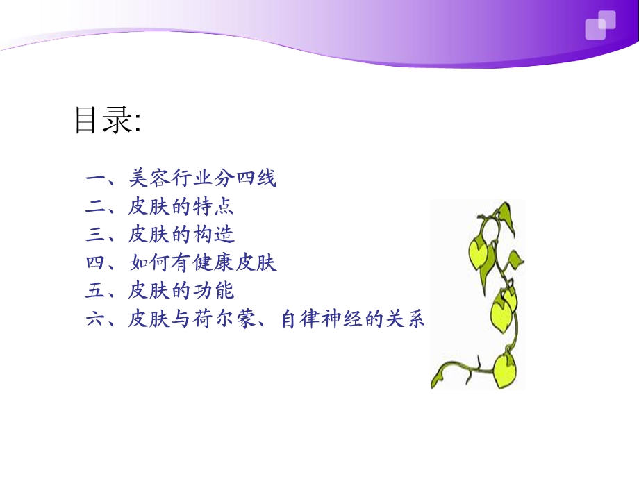 皮肤基础知识课件.ppt_第2页