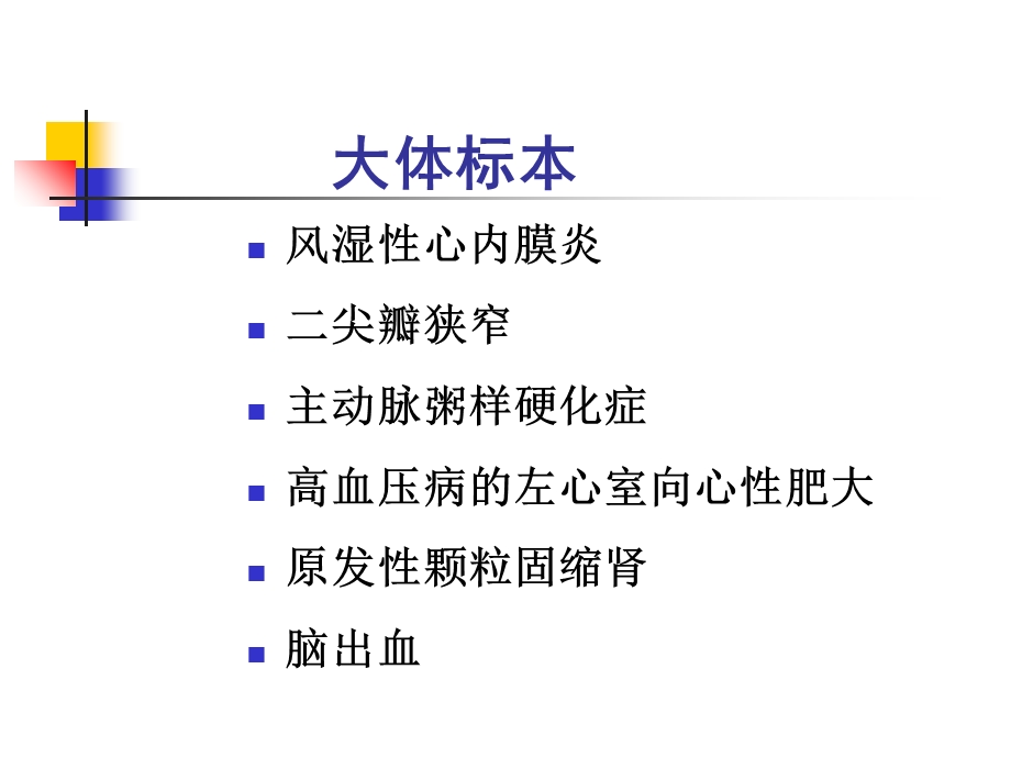 病理学(第八版)切片考试心血管.ppt_第3页