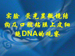 用荧光显微镜结构及观察口腔上皮细胞的dna.ppt