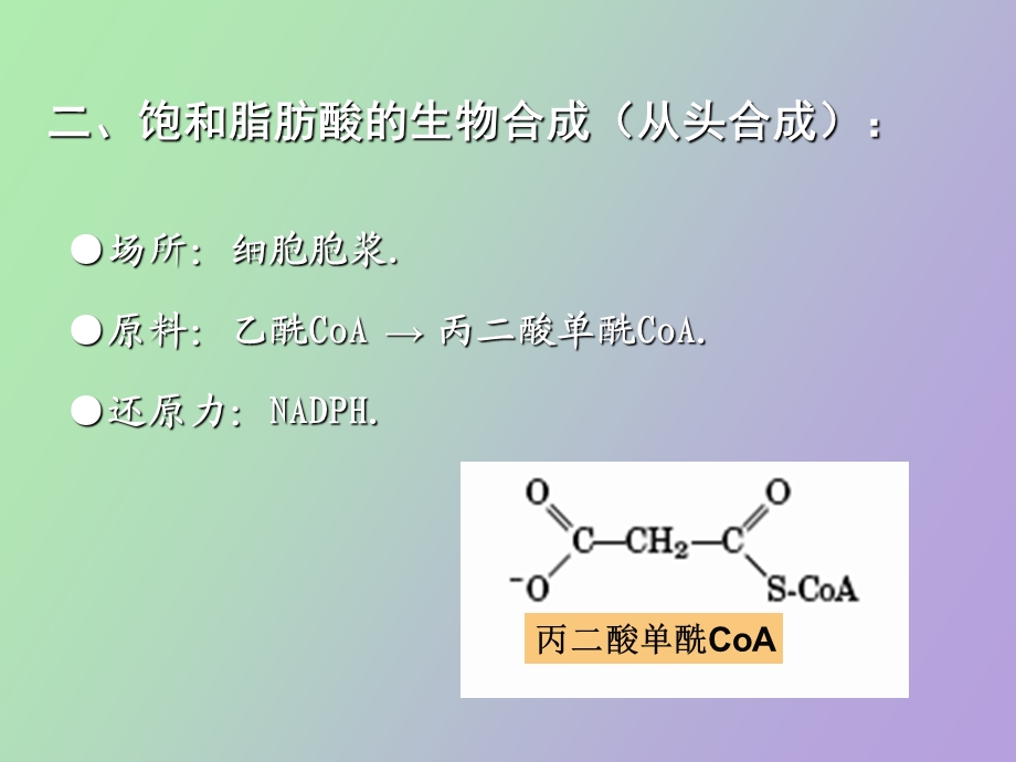 脂类的生物合成-生科.ppt_第3页