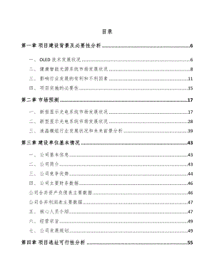 唐山显示设备项目可行性研究报告.docx