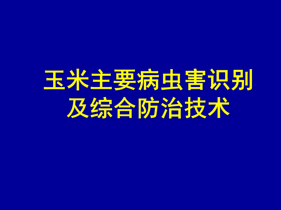 玉米主要病虫害识别.ppt_第1页