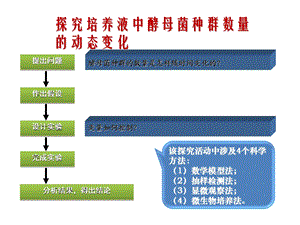 种群数量的变化实验探究酵母菌数量变化.ppt