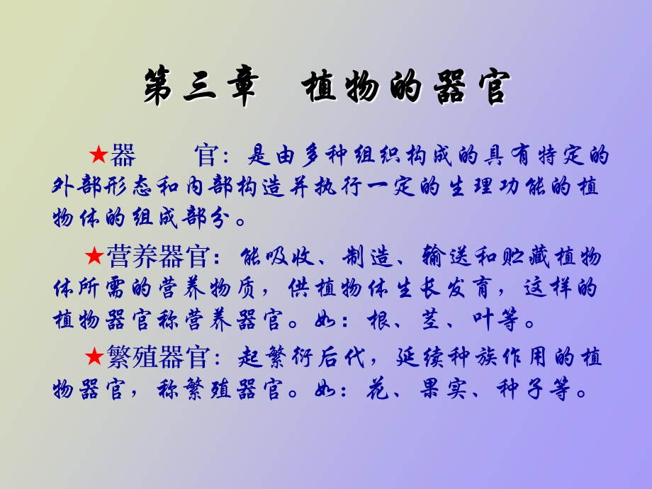 药用植物学根.ppt_第1页