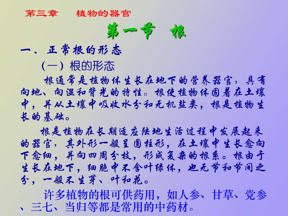 药用植物学根.ppt_第3页