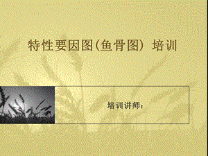 特性要因图PPT.ppt