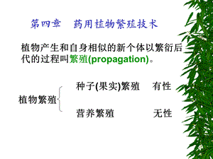 药用植物栽培学4-1.ppt