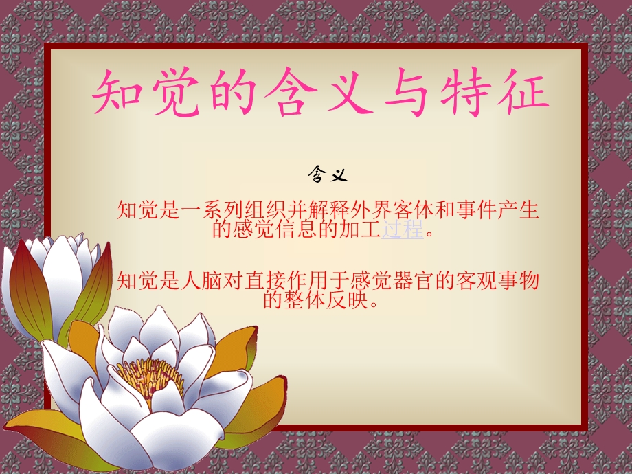 知觉的含义与特征.ppt_第1页