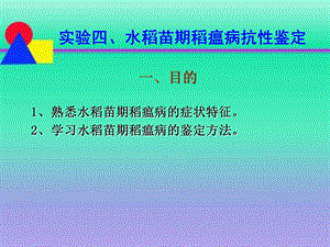 熟悉水稻苗期稻瘟病的症状特征.ppt