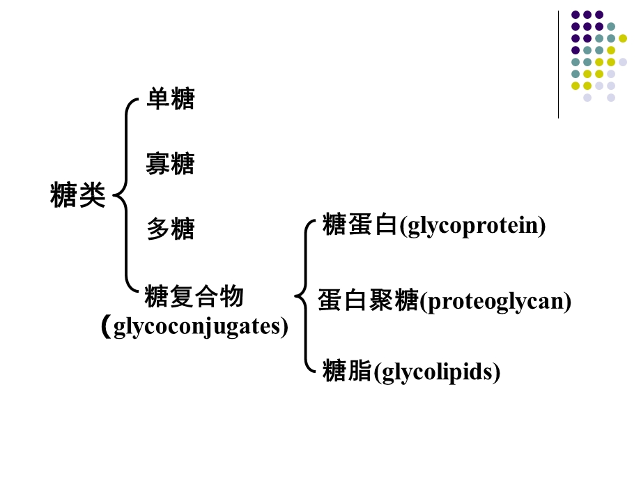 糖蛋白与蛋白聚糖.ppt_第2页