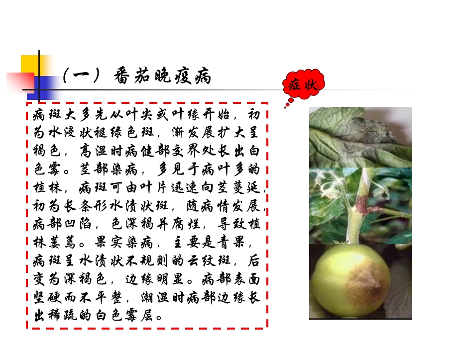 茄果类蔬菜主要病虫害及防治.ppt_第3页