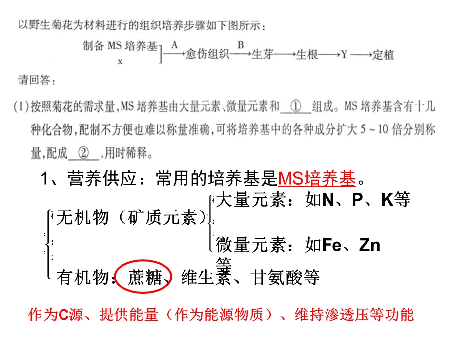 自选模块专题复习组织培养超值.ppt_第3页